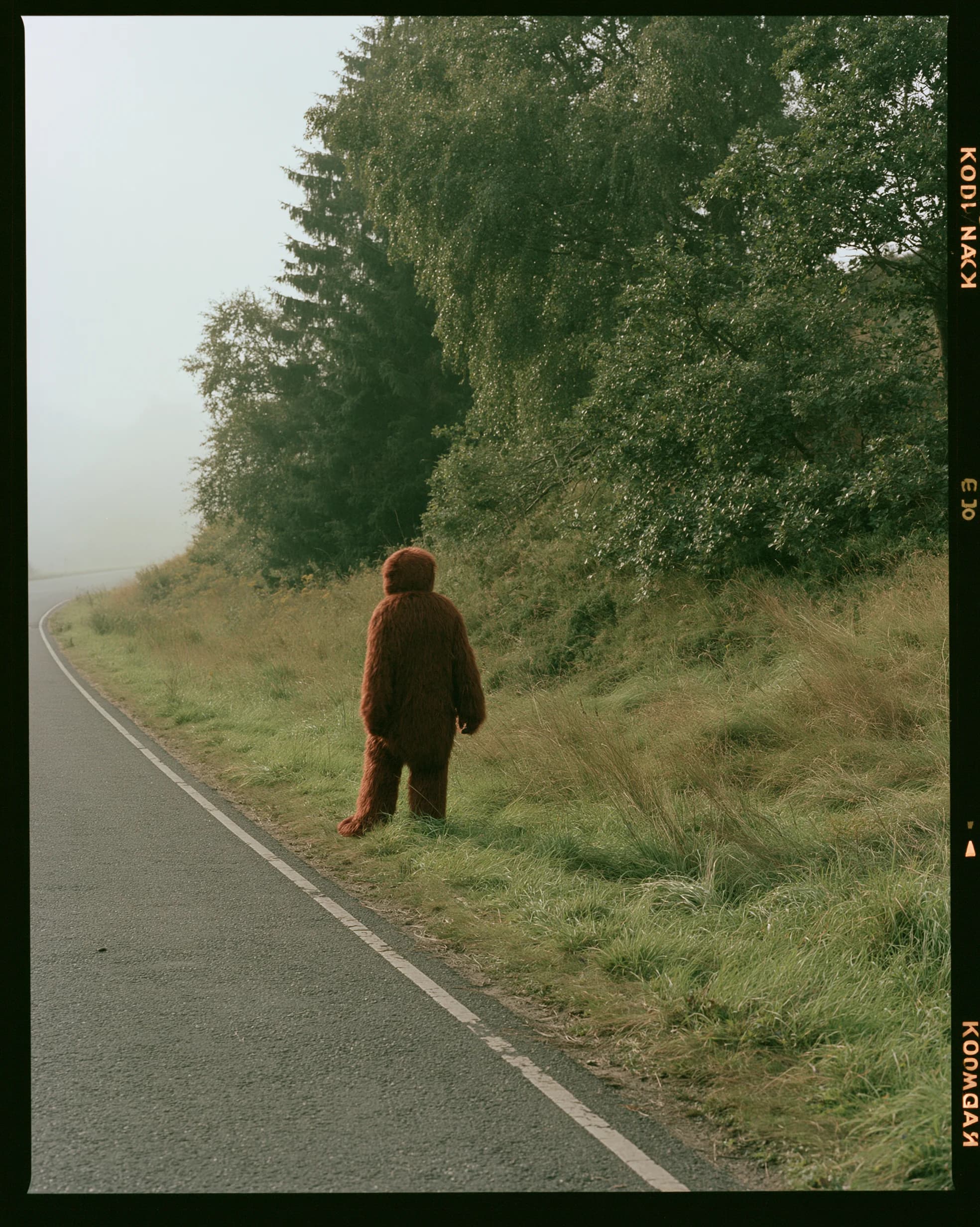 Walking Landscapes